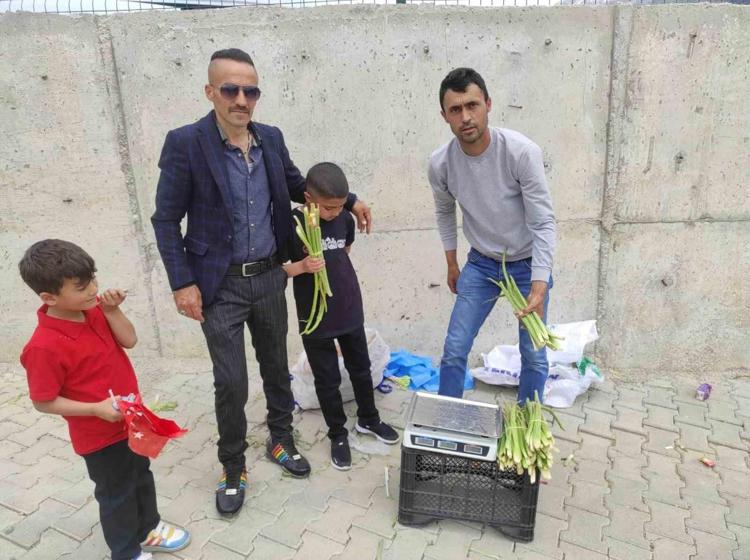 Elazığda şifa deposu: Pazar tezgahlarındaki yerini aldı: Kilosu 150 liradan satılıyor Bir tek ölümsüzlüğe çaresi yok, şeker hastalarına şifa oluyor