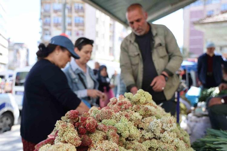 Elazığda şifa deposu: Pazar tezgahlarındaki yerini aldı: Kilosu 150 liradan satılıyor Bir tek ölümsüzlüğe çaresi yok, şeker hastalarına şifa oluyor
