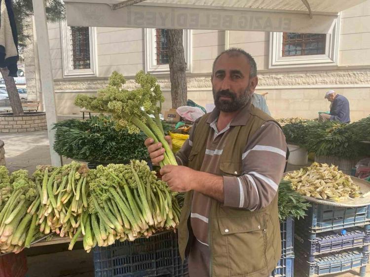 Elazığda şifa deposu: Pazar tezgahlarındaki yerini aldı: Kilosu 150 liradan satılıyor Bir tek ölümsüzlüğe çaresi yok, şeker hastalarına şifa oluyor