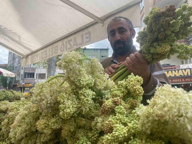 Elazığda şifa deposu: Pazar tezgahlarındaki yerini aldı: Kilosu 150 liradan satılıyor Bir tek ölümsüzlüğe çaresi yok, şeker hastalarına şifa oluyor