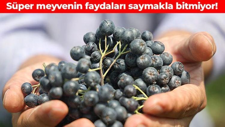Bütün dünyada süper meyve olarak biliniyor Kan basıncını dengeliyor, kalbi koruyor, damarları temizliyor