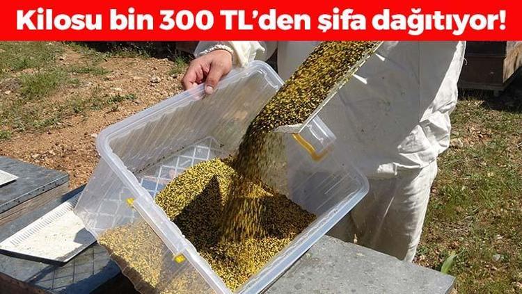 B12 ve demire zirve yaptırıyor Hasadı başladı, kilosu bin 300 TL: Her gün 1 tatlı kaşığı yiyince erkenden yaşlanmayı önlüyor