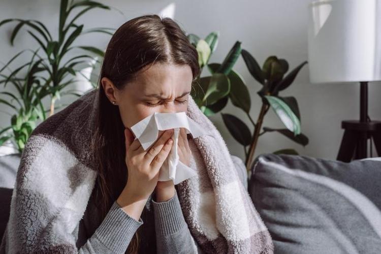 Canan Karatay ısrarla tavsiye etti: Pişirip kaşık kaşık yiyince cildi içten kolajene boğup B12 depolarını zirveye taşıyor 1 kaşık sirke atınca etkisi 10 kat artıyor