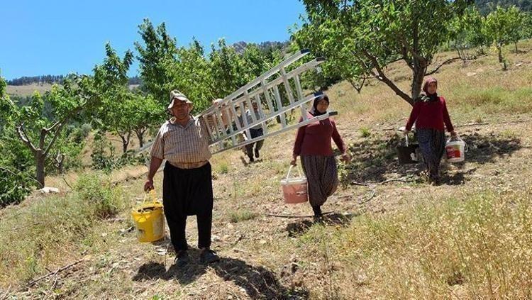 GÜÇLÜ BİR ANTİOKSİDAN KAYNAĞI