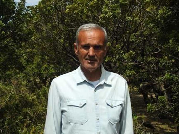 Çeşmenin beyaz incisi Kilosu 15 bin TLden satılıyor: Halk arasında mastika deniyor, karaciğere resmen reset atıyor Öksürüğü ciğerden söküp alan besin