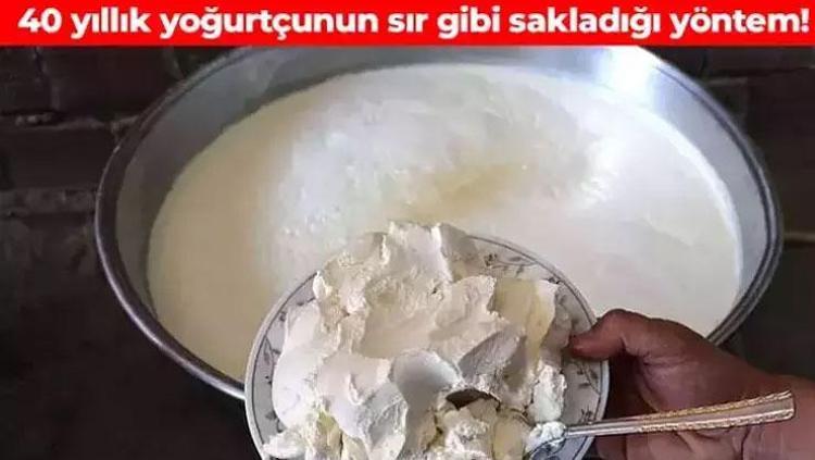 40 yıllık yoğurtçunun sırrı Taş gibi yoğurt yapmak için içerisine 15 adet ekleyin: Hem lezzetli hem şifalı, probiyotik etkisiyle vücuda iyi geliyor