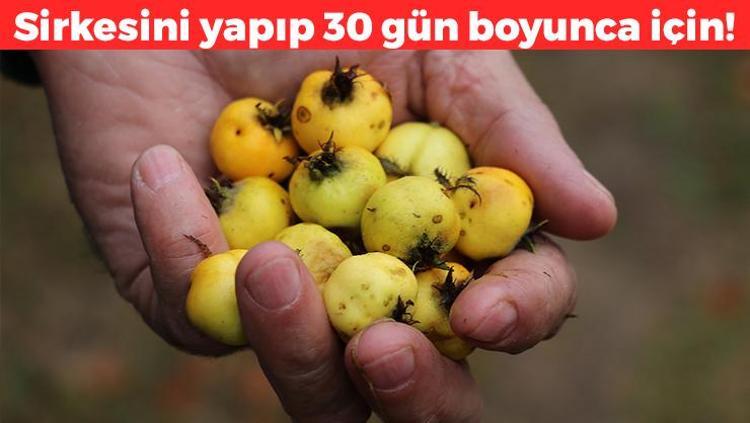 Sirkesini yapıp her sabah 1 kaşık için Göbek yağlarını vakumluyor, dümdüz bir karın için 30 gün boyunca için