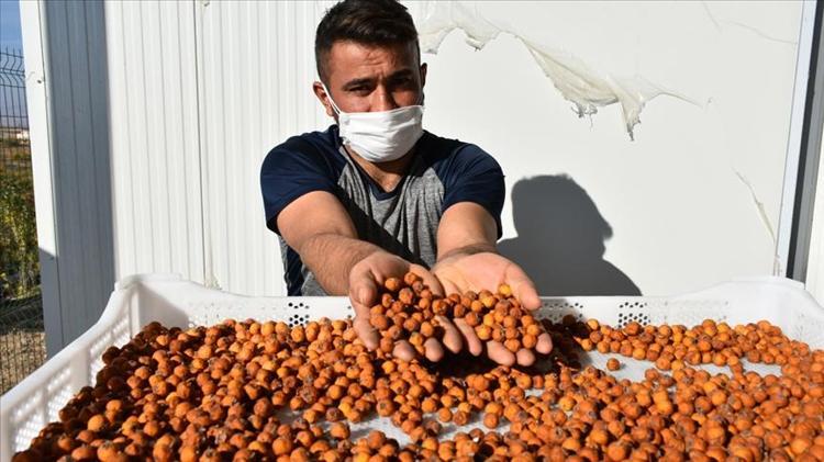 Sirkesini yapıp her sabah 1 kaşık için Göbek yağlarını vakumluyor, dümdüz bir karın için 30 gün boyunca için