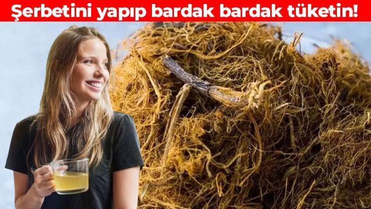 Şifasını bilen yıllardır kullanıyor Ölümden başka her derde deva: Organları dip köşe temizliyor