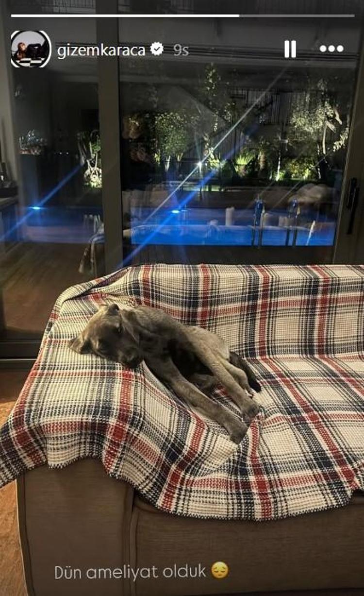 KÖPEĞİ AMELİYAT OLDU