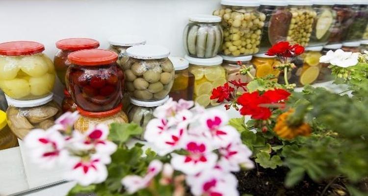 Ödem ve tansiyonu sıfırlıyor Probiyotik rezervlerini dolduruyor: Bağışıklığı çelik gibi güçlendiriyor