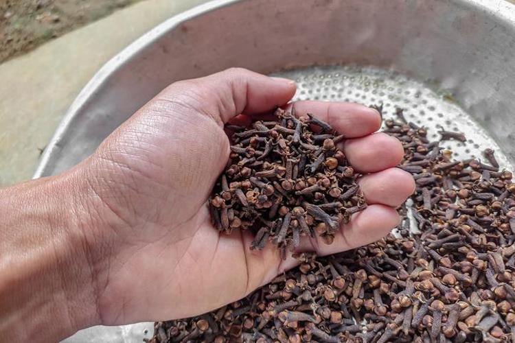 Kan şekerini resmen çiviliyor İnsülin direncini kırıyor: Çayın içine 1 parça ekleyin