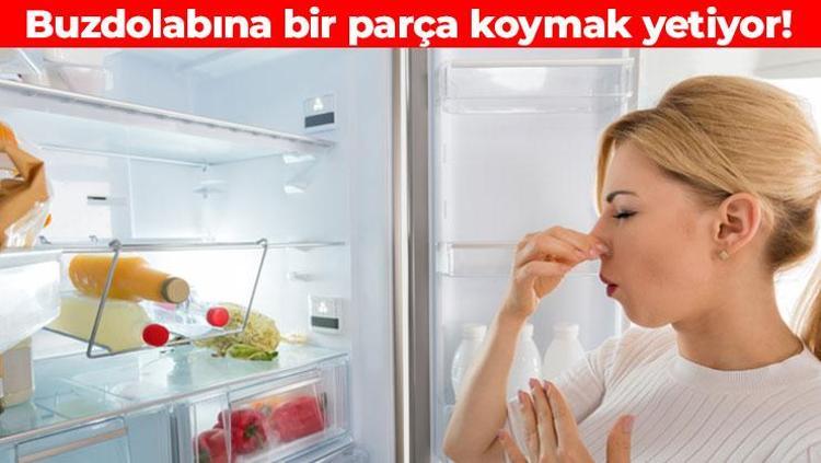 Meğer ev hanımları buzdolabına koyuyormuş Kötü kokuyu vakum gibi çekiyor, bakterilerin kökünü kazıyor