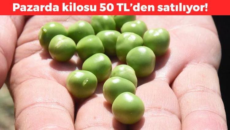 Bahar sofralarının vazgeçilmezi Kilosu 50 TL: Kötü kolesterolü sıfırlıyor, magnezyum ve potasyum deposu