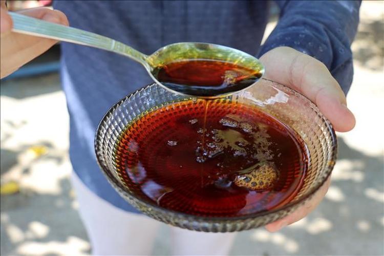 Pekmezin içine 1 kaşık ekleyin Balgamlı öksürük, hırıltı ve nefes darlığının kökünü kurutuyor Kemikleri betona çeviren karışım