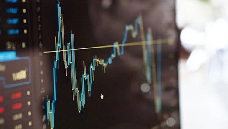 NİSAN AYI ENFLASYON BEKLENTİSİ MERKEZ BANKASI ANKETİ 2025