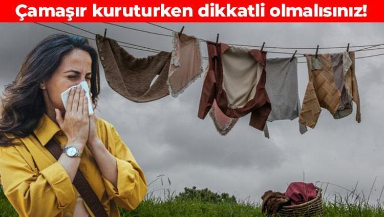 Çamaşırları kuruturken hastalığa yakalanabilirsiniz Saman nezlesi ve polen alerjisinin temelinde yatıyor