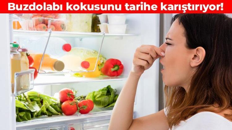 Burun sızlatan kokunun kökünü kurutuyor Buzdolabının içine yerleştirin: Günlerce mis gibi kokacak