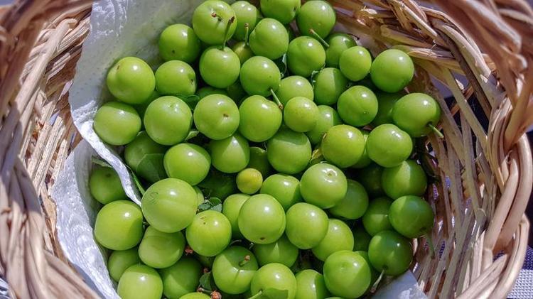 BÖBREKLER ÜZERİNDEKİ YÜK