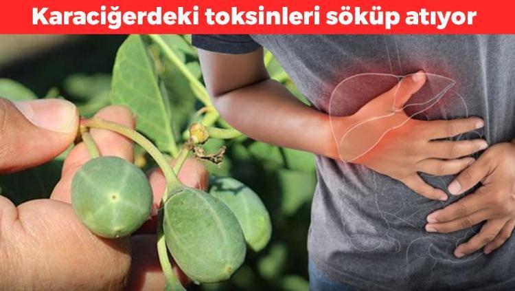 Akdeniz’den tüm ülkeye yayıldı Tam bir demir ve B12 ambarı: Damarlardaki iltihabı kazıyarak atıyor, karaciğerdeki toksinleri temizliyor