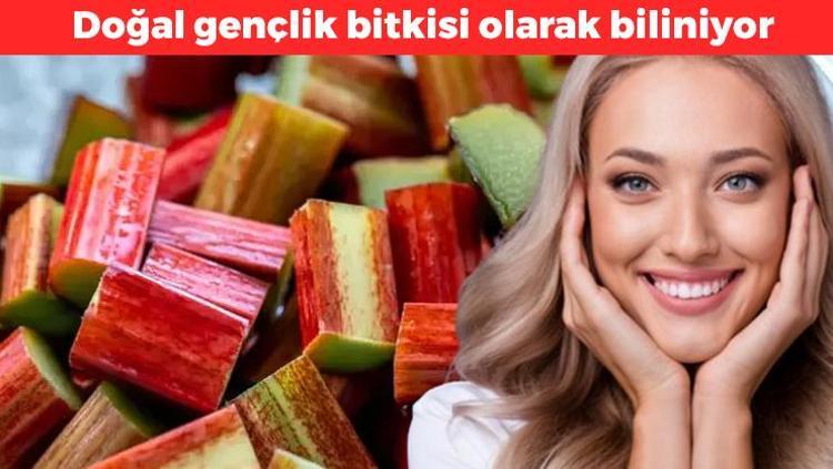 Gördüğünüz yerde poşet poşet alın Tam bir antioksidan havuzu: Yedikçe gençleşmenizi sağlıyor, hasarlı hücrelere bakım yapıyor