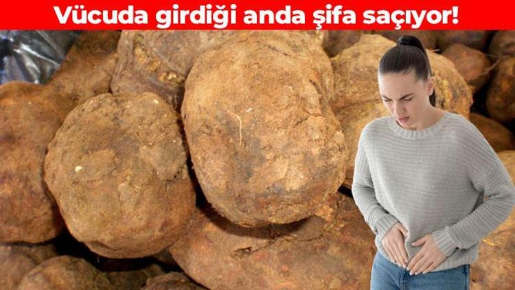 Toprak altında yetişiyor Görünce burun kıvırıyoruz ama şifa kaynağı: Vücudu dipçik gibi yapıyor