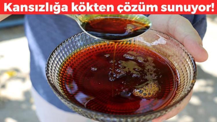 Pekmezin içine karıştırıp her sabah için Kuru öksürüğün kökünü kurutuyor, kemikleri beton gibi yapıp buruş buruş damarları genişletiyor