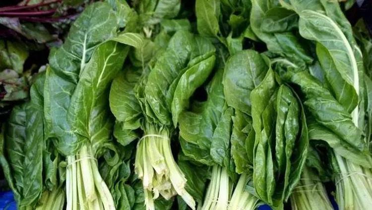 Kıymetine paha biçilemez Kemikleri kaya gibi sertleştiriyor: K vitamini deposunu fullüyor
