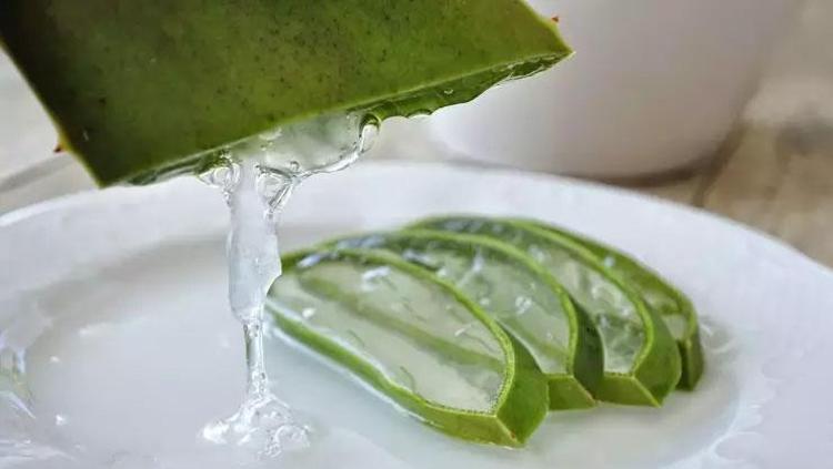 ALOE VERA JELİ