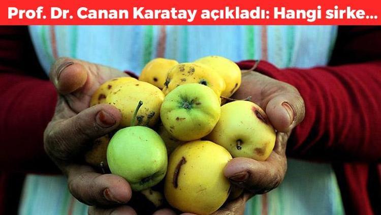 Elma sirkesi mi üzüm sirkesi mi Prof. Dr. Canan Karatay açıkladı: En sağlıklısı...
