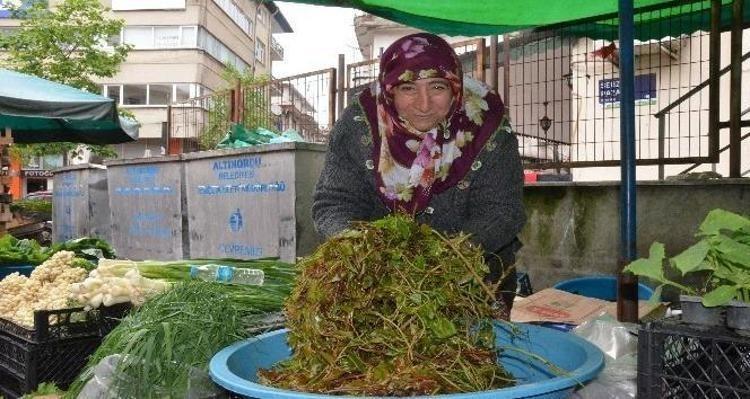 Karaciğere resmen reset atıyor Doğada kendi kendine yetişiyor: Kan şekerini terazi gibi dengeliyor, böbrekleri yeniden doğmuş gibi yapıyor