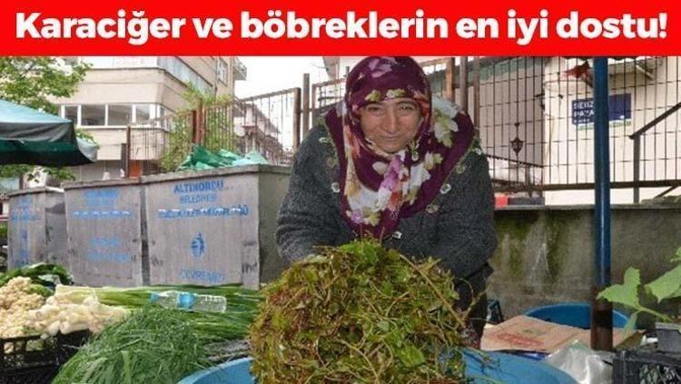 Karaciğere resmen reset atıyor Doğada kendi kendine yetişiyor: Kan şekerini terazi gibi dengeliyor, böbrekleri yeniden doğmuş gibi yapıyor
