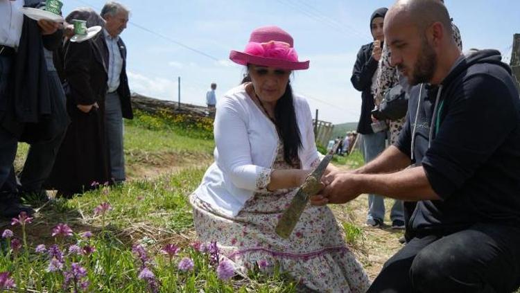 ÇOK DAHA YÜKSEK GELİR SAĞLIYOR