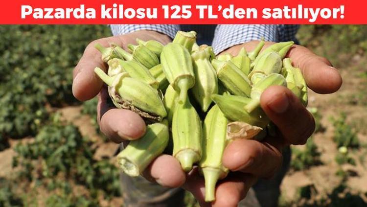 Kanın pıhtılaşmasını sağlıyor Kilosu 125 TL: Tıkalı damarları hortum gibi açıyor, kolesterolün kökünü kurutuyor