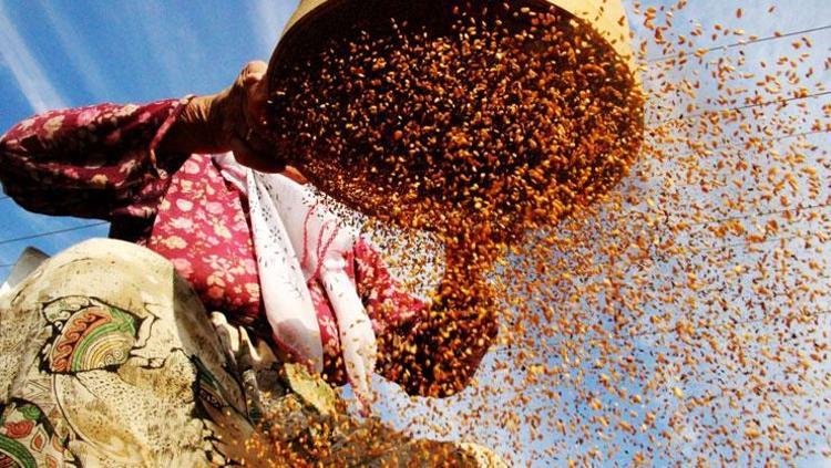 KEMİK SAĞLIĞINI GÜÇLENDİREN KALSİYUM KAYNAĞI