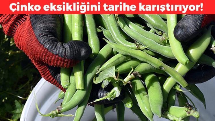 Kan şekerinin aniden düşmesini önlüyor C ve A vitamini zengini, çinko eksikliğini bitiriyor
