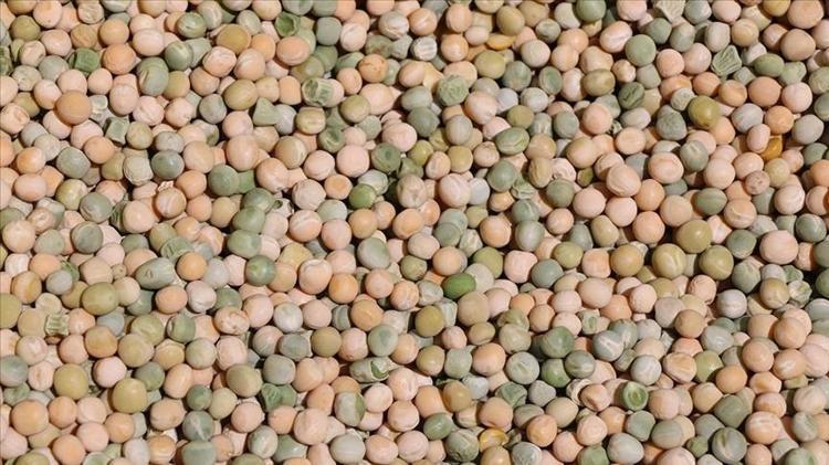 Kan şekerinin aniden düşmesini önlüyor C ve A vitamini zengini, çinko eksikliğini bitiriyor