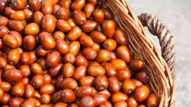 KALP SAĞLIĞINI DESTEKLER