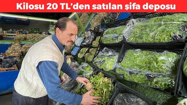 Salatanızın içine demet demet ekleyin Manavda 20 TL’den satılıyor: İltihabın kökünü kurutuyor, vücuda detoks yaptıran en faydalı besin