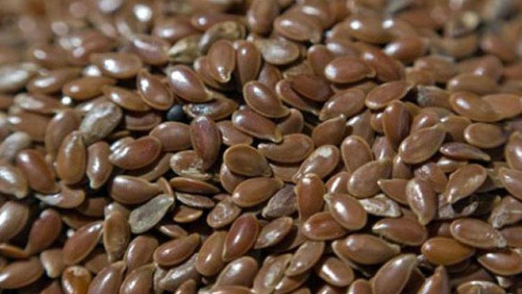BAĞIŞIKLIĞI GÜÇLENDİRİYOR