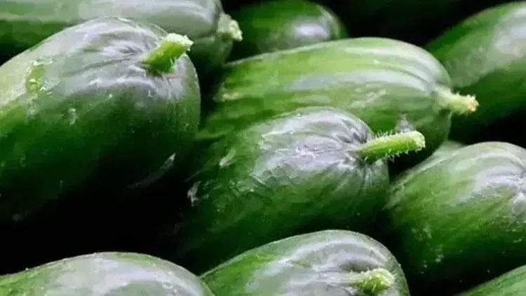 SALATALIK