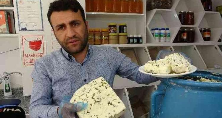 Dünyanın en sağlıklı peyniri İçinde 25 çeşit yabani ot var: Kemikleri kalsiyuma boğuyor, birkaç dilim salatalıkla birlikte tüketin