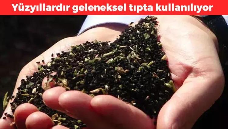 Yüzyıllardır geleneksel tıpta kullanılıyor Doğal sindirim ilacı olarak biliniyor: Vücuttaki iltihabı kazıyarak atıyor, hormonları dengeliyor