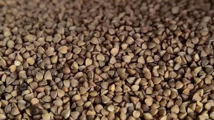 Saatlerce tok tutuyor, cayır cayır yağ yakıyor Yaz gelmeden sizi tüy gibi yapacak olan o salata: Heykel gibi bir vücut için mutlaka tüketin