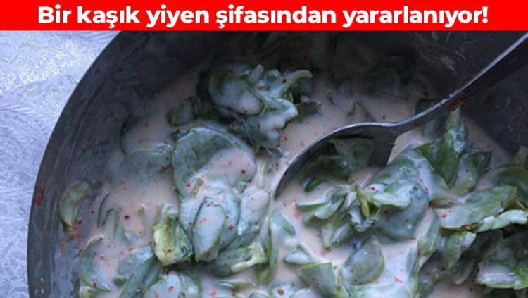 Türkiyenin verimli topraklarında yetişiyor Yoğurtla karıştırıp kaşık kaşık yiyin: İnsülinü anında dengeliyor, kötü kolesterolü yerle bir ediyor