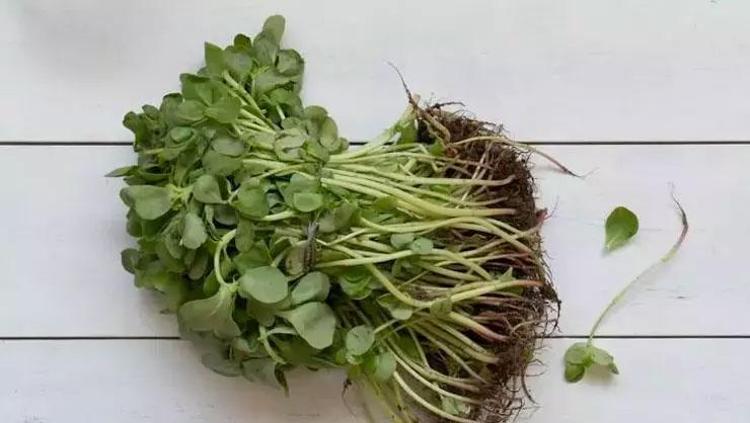 CİLT SAĞLIĞINI DESTEKLER