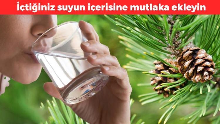 İçtiğiniz suya bir parça ekleyin En faydalı detoks yöntemi: Buruş buruş damarları saniyesinde genişletiyor, toksinleri vücuttan temizliyor