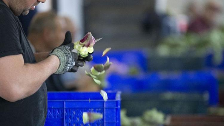 Eli hızlı erkekler ekip kurdu Bu işin günlük 2.500 TL getirisi var