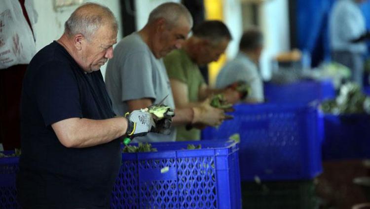 Eli hızlı erkekler ekip kurdu Bu işin günlük 2.500 TL getirisi var