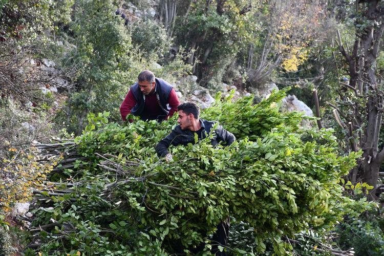 Yağlı ciltlerin kurtarıcısı 1 parçası yeriyor: Sivilce oluşumunu önleyip gözenekleri temizliyor